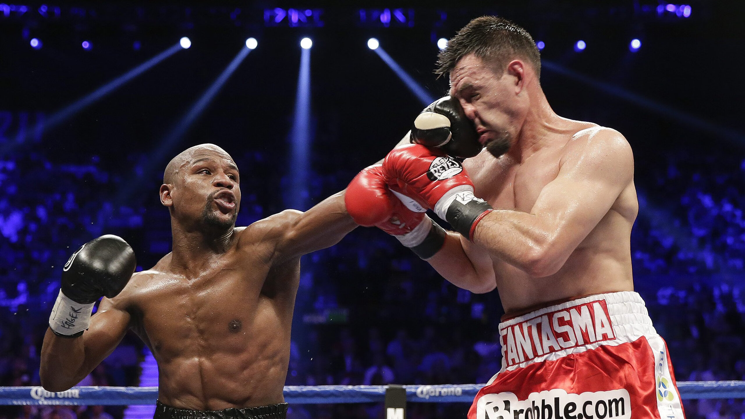 体育赛事观众参与度分析